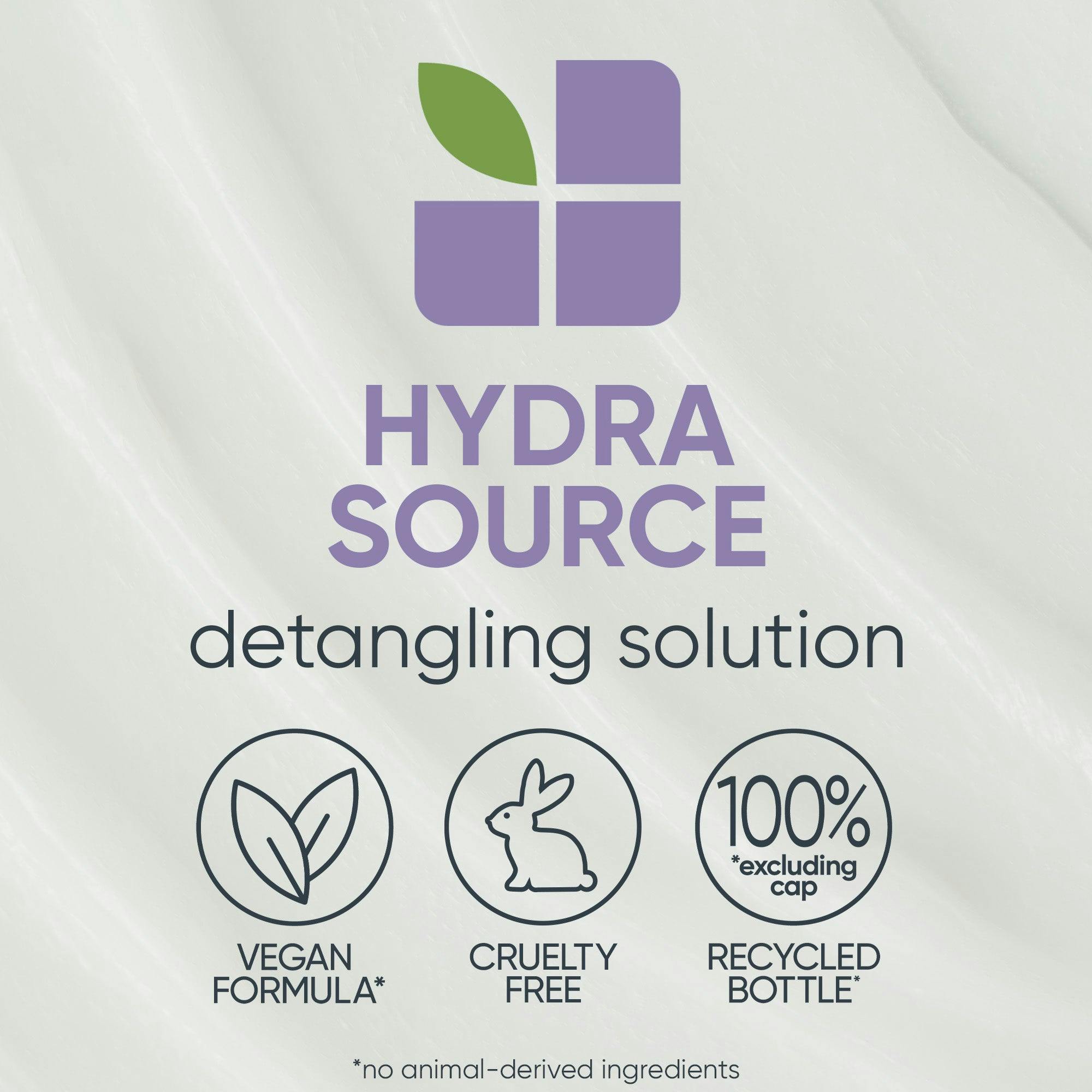 Biolage Hydrasource Shampoo and Detangling Duo Bundle